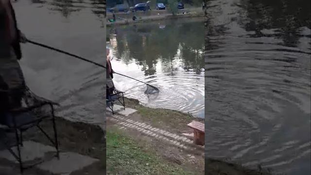 поимки форели смотреть онлайн