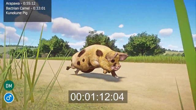 Domesticated Animals Speed Races in Planet Zoo included Kunekune Pig, Arapawa смотреть онлайн