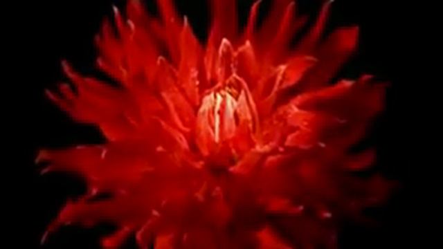 Арно Бабаджанян - Ноктюрн смотреть онлайн