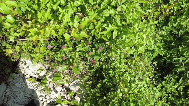 Небуг для любителей походов - горы и красивая природа!