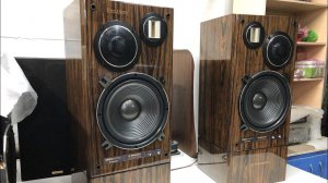 Одни из лучших систем Японии. Pioneer S-9500DV