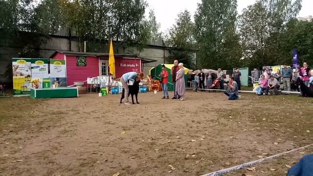 V80909 1142081 смотреть онлайн