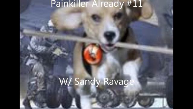 Painkiller Already 11 w/ Sandy Ravage смотреть онлайн
