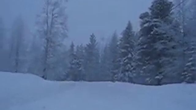 Winter in Missenträsk, Sweden смотреть онлайн
