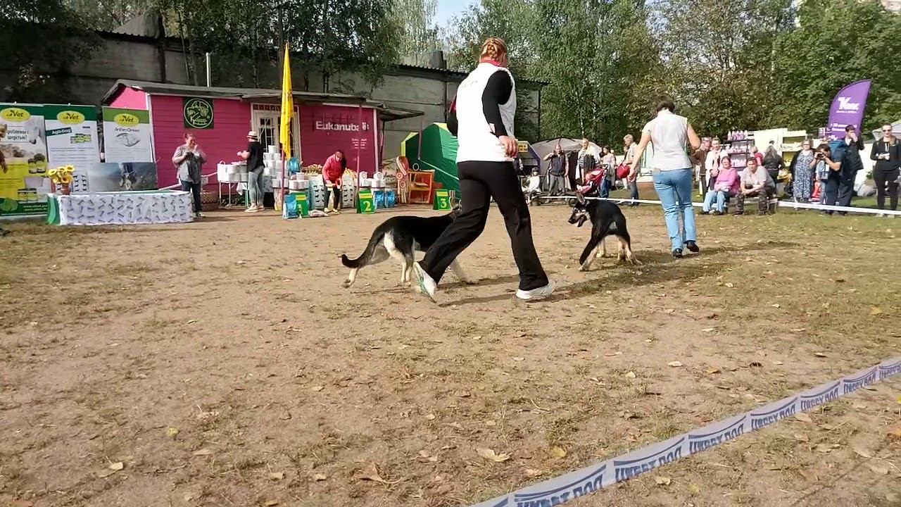 9 сентября 2018 г. смотреть онлайн