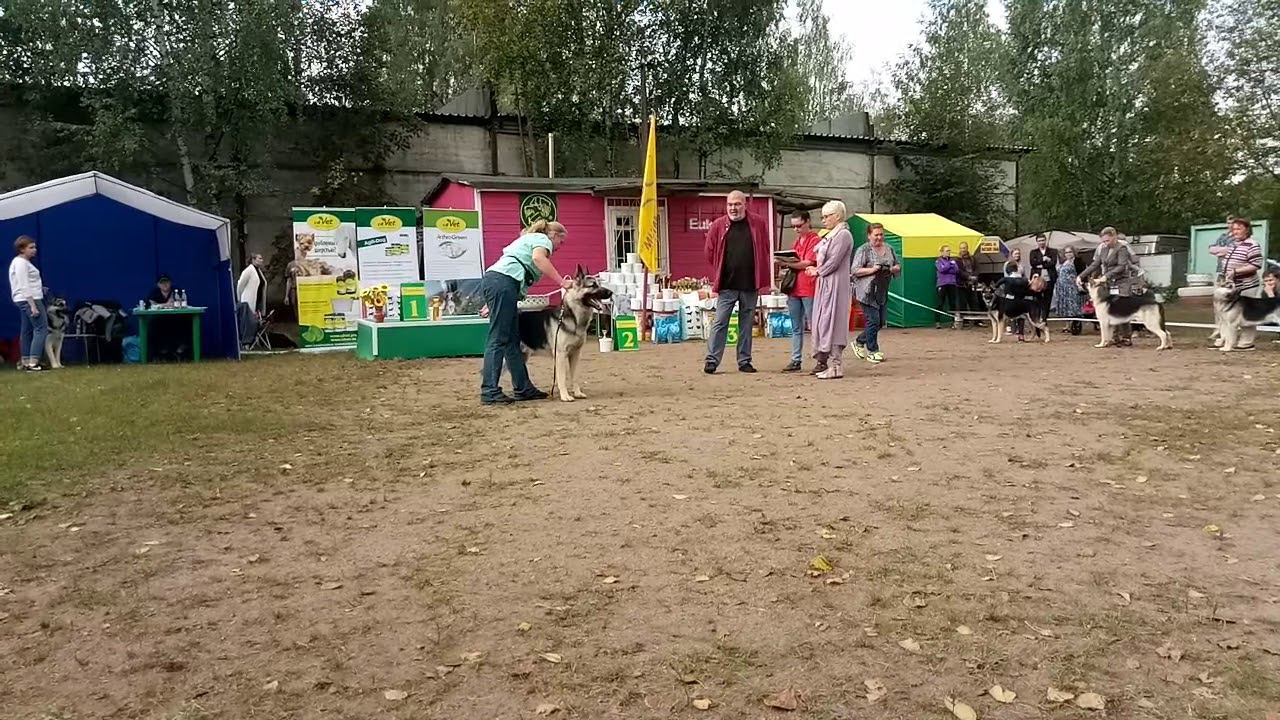9 сентября 2018 г. смотреть онлайн