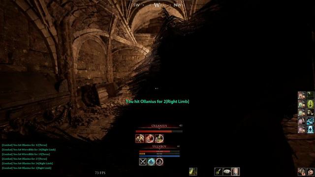 Mortal Online 2 - Winx (reptile Gear) Vs BattleBrotherS