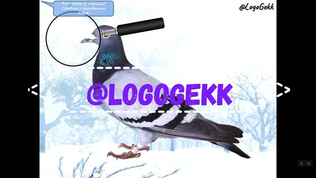 Обзор Зимующие птицы смотреть онлайн