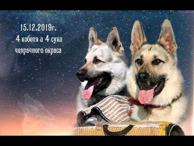 ПОМЁТ ОТ КАБИРЫ И ВЛАСТЕЛИНАmp4 смотреть онлайн