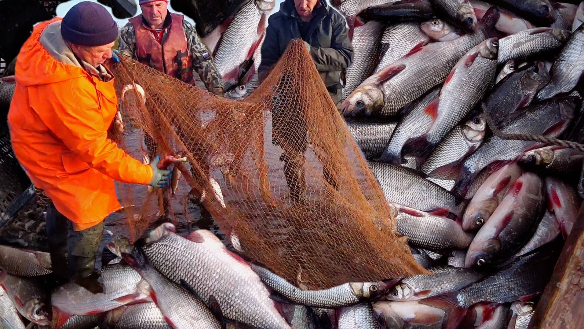 Ловля неводом 28 сентября 2024 смотреть онлайн