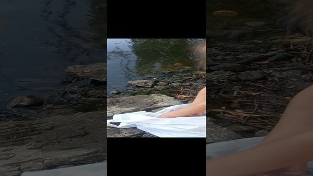 принцеп настоящего рыбока.mp4