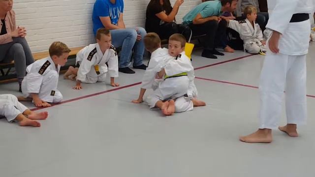 Judo wedstrijd Lucas en Rafael. смотреть онлайн