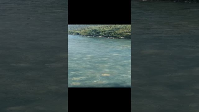 Деревянный мост над прозрачной рекой Абхазия Бзыпь смотреть онлайн