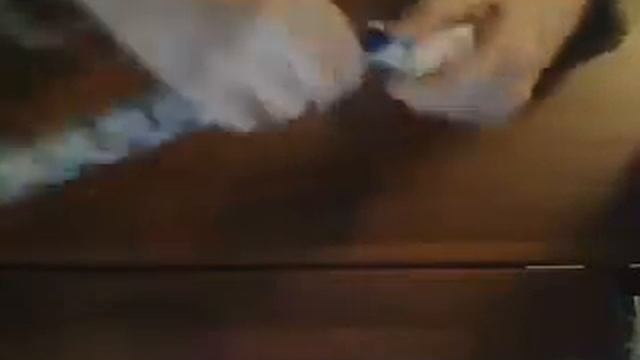 собирание змейки смотреть онлайн