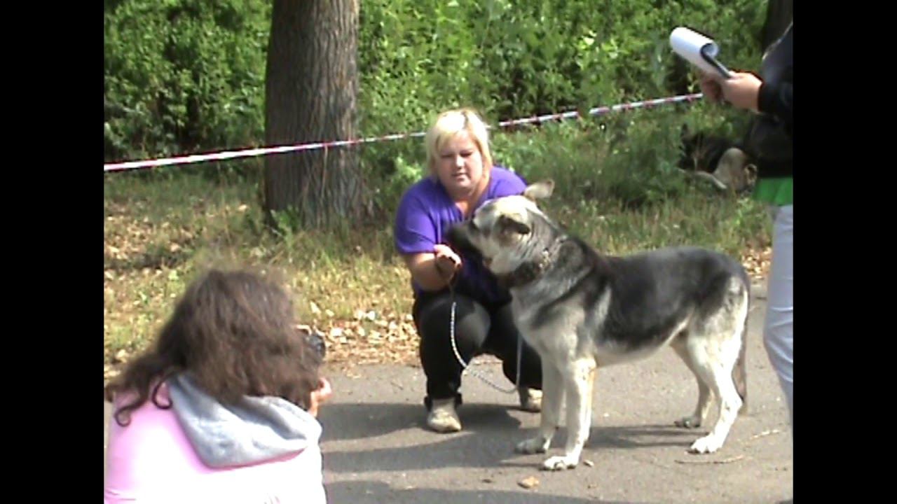 ЧЕРЕПОВЕЦ 2007 Судья Дроздова И. смотреть онлайн