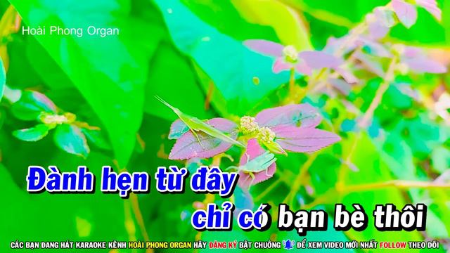 Karaoke Liên Khúc Trữ Tình Âm Thanh Đặc Sắc Tone Nam - Chiều Sân Ga | Hoài Phong Organ
