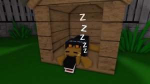 Скулбой Пожалел, что завел кота В BROKHAVEN (Страшная история в роблоксе)