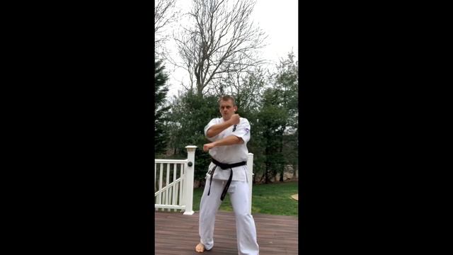 Kyokushin Fight Training With Sensei Kamil - April 2, 2020 смотреть онлайн