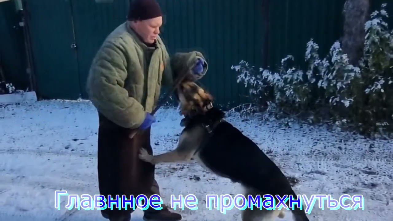 ДЖУММЭЙРА-ТРЕНИНГ смотреть онлайн