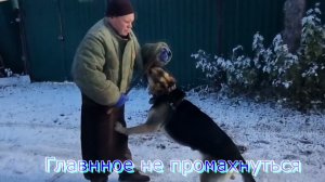 ДЖУММЭЙРА-ТРЕНИНГ