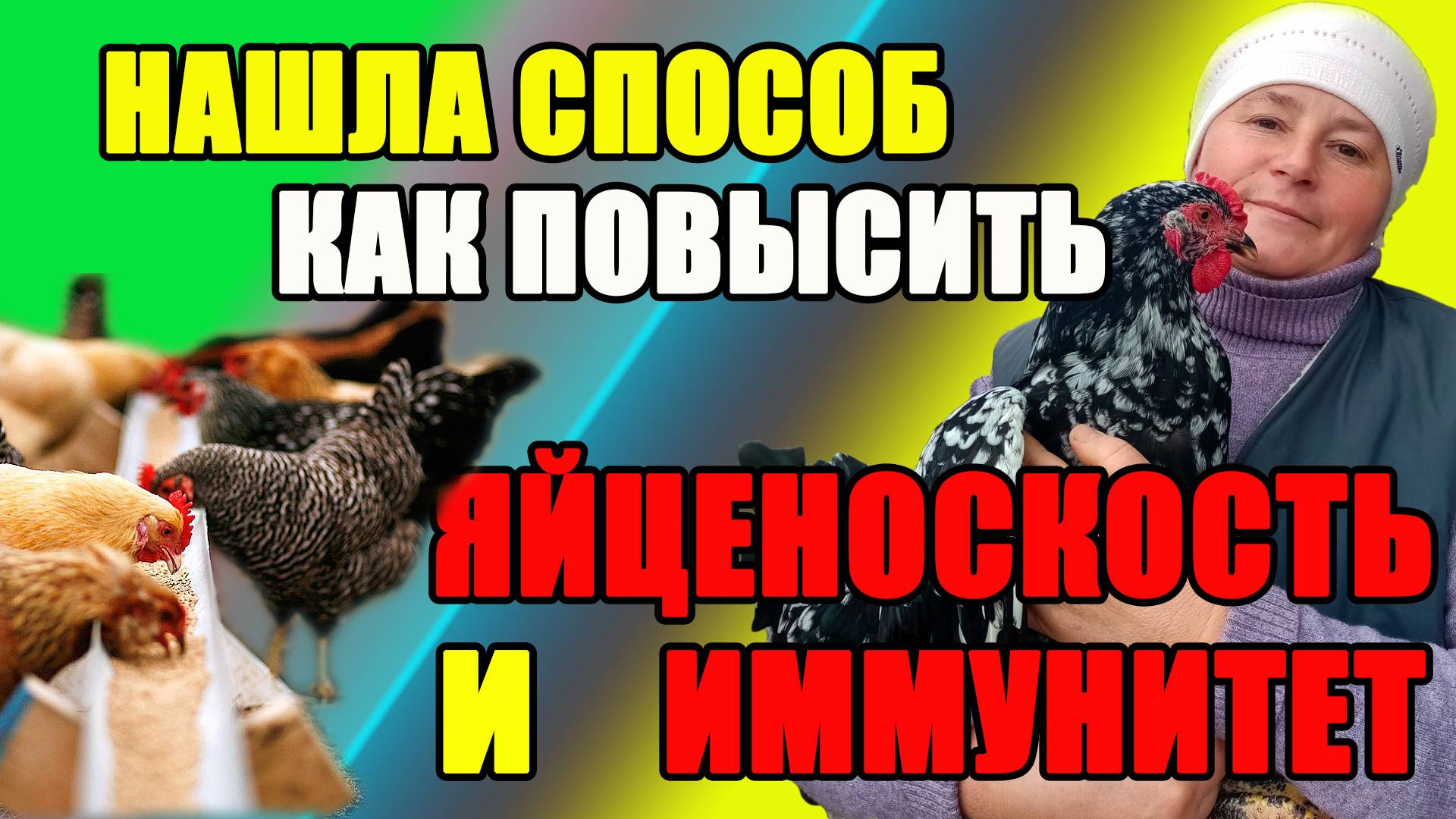 ЯЙЦЕНОСКОСТЬ и ИММУНИТЕТ у кур. Как их ПОВЫСИТЬ. смотреть онлайн