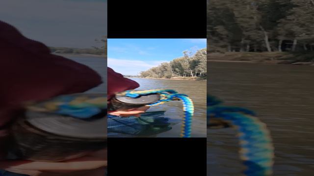 Ловлю ЛЕЩА на кольцо. смотреть онлайн