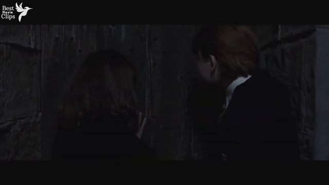 3 headed dog meets Harry, Hermine & Ron | Harry Potter and the Sorcerer's Stone смотреть онлайн