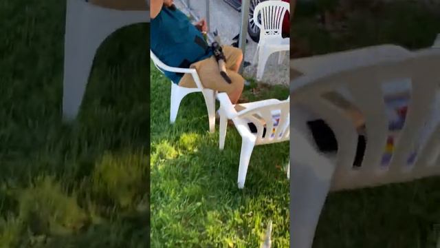 En el mero Perron смотреть онлайн