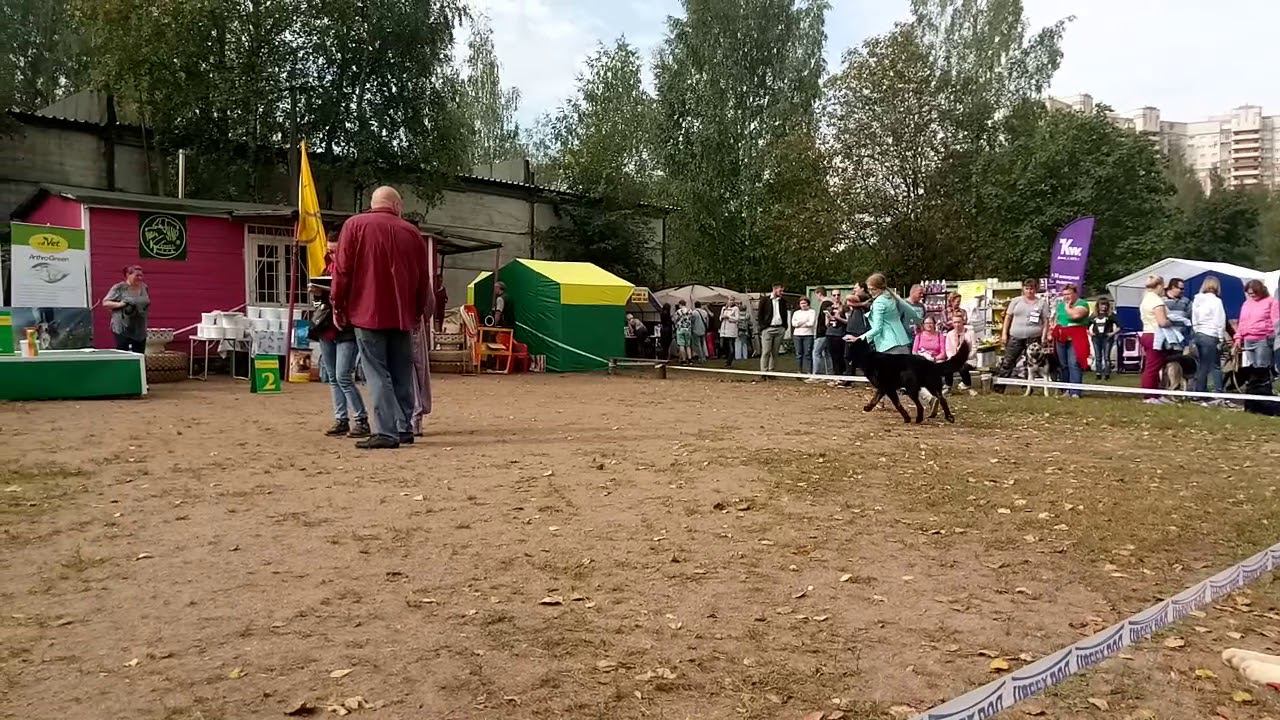 Гордость Питера Штирлиц смотреть онлайн