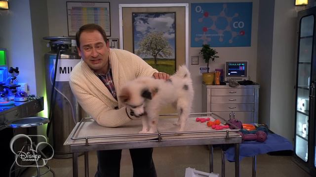 Dog With A Blog - Stan's Old Owner смотреть онлайн
