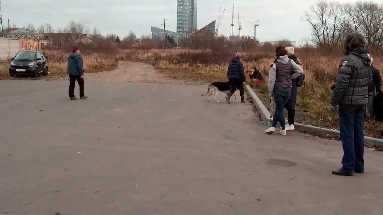 Рядовость Найгур смотреть онлайн