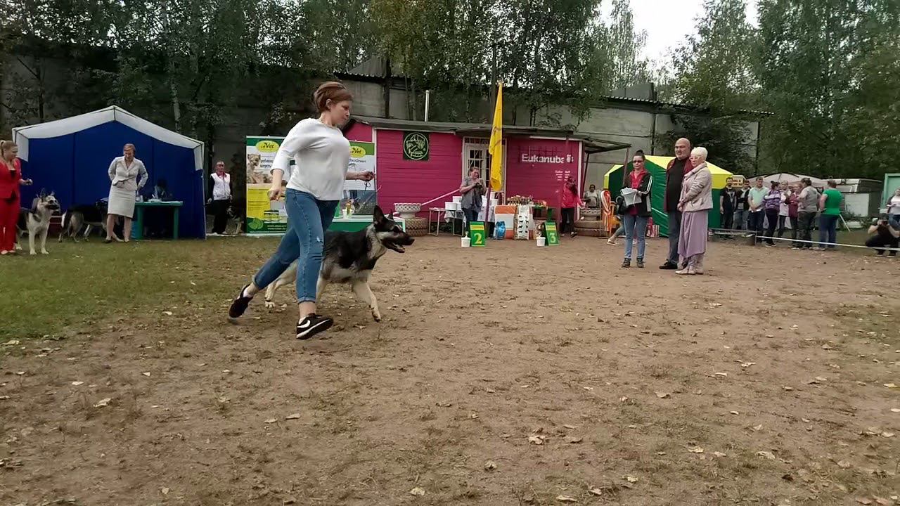 10 сентября 2018 г. смотреть онлайн
