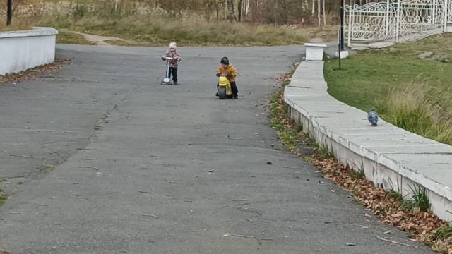 Гонки в парке.mp4 смотреть онлайн
