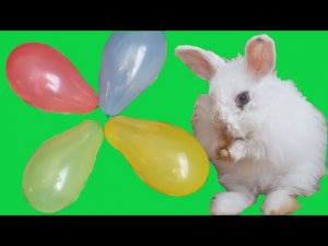 Baloons Learn Colours Воздушные Шарики.Учим Цвета.Песенка Красный Шарик Где Же Ты.