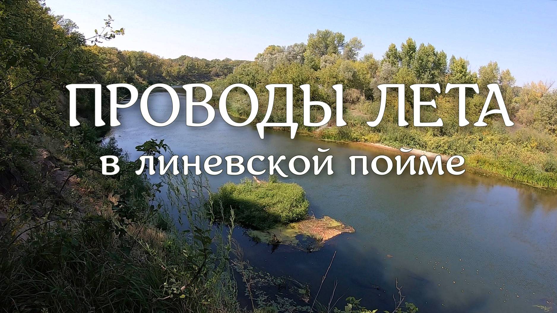 Проводили лето смотреть онлайн