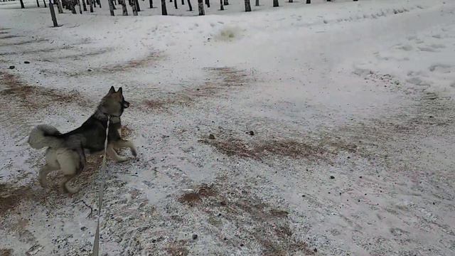 Ответы на вопросы про здоровье. смотреть онлайн