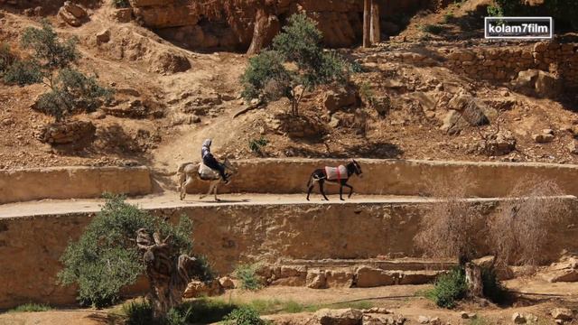 از هرات تا بیت المقدس From Herat To Jerusalem