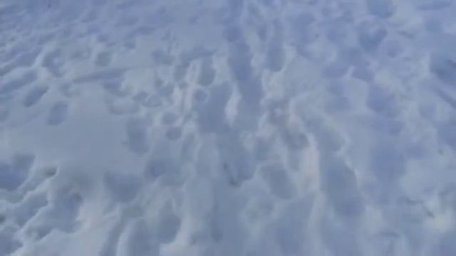 11 марта 2022 г. смотреть онлайн