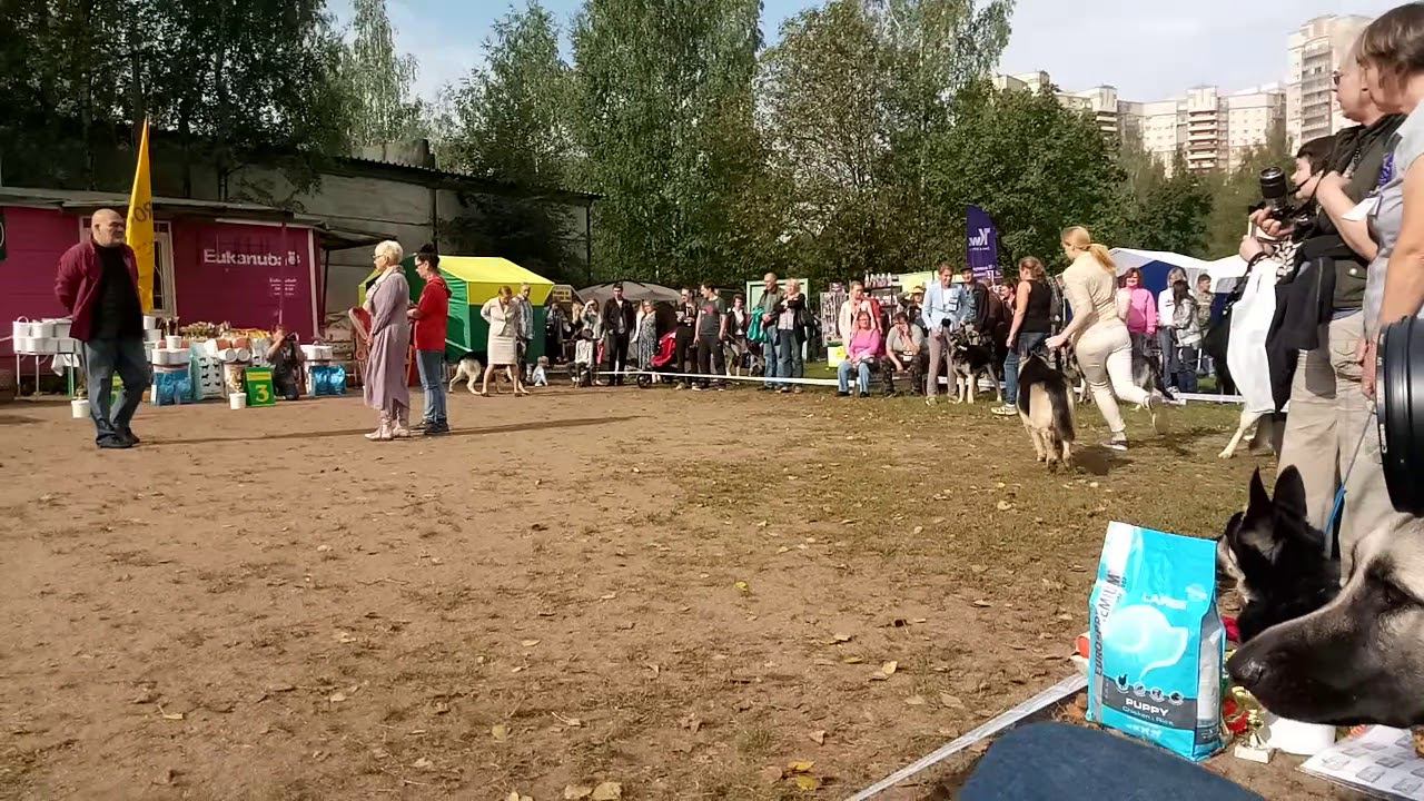 ЧК 2018 смотреть онлайн