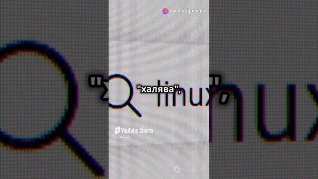 Linux vs Windows | Django School | JunovNet смотреть онлайн