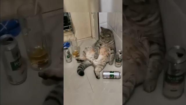 Мои планы на выходные смотреть онлайн