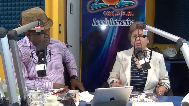 Rosario Espinal habla sentencia tribunal, Leonel Fernandez y conflicto PRD en Elsoldelamañana смотреть онлайн