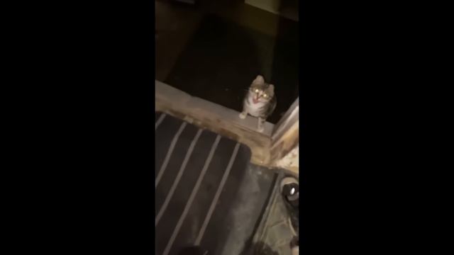 UNUSUAL MEMES COMPILATION V260 смотреть онлайн