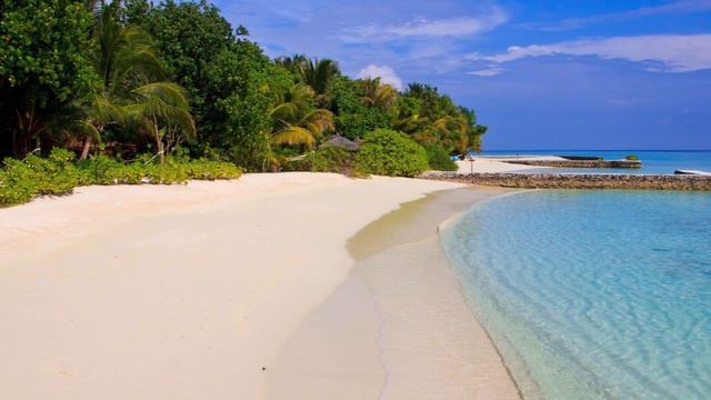 Jan Jensen - Tropicana [Retro Music / Electronic Synth Music / Tropical Music] (Official Video)