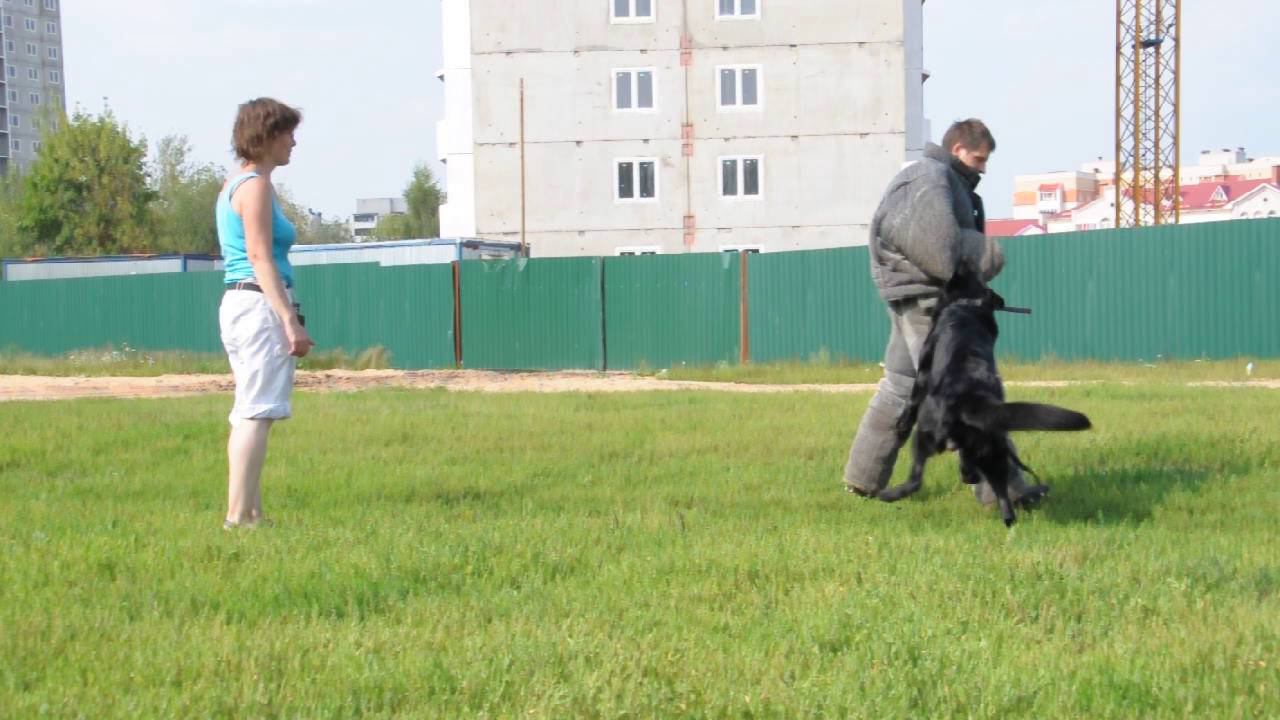 Семинар смотреть онлайн
