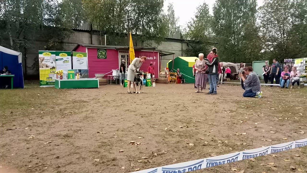 09 сентября 2018 г. смотреть онлайн
