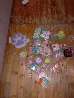 оказываю свои лапы.