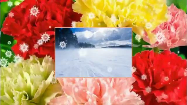 песни группы Океан Жизни
