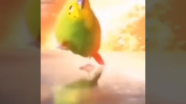 хей гайс смотреть онлайн