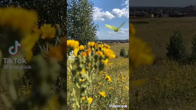 проснись и пой смотреть онлайн